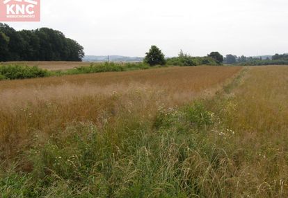 Działka mieszkaniowo-rzemieślnicza