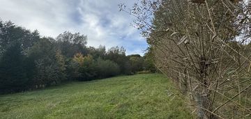 Inwestycyjna działka  44 ar kielnarowa
