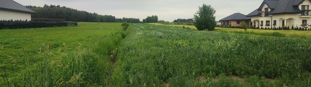 Atrakcyjna działka budowlana dąbrówka mała