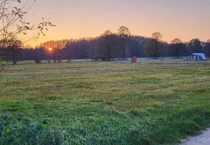 Działka z warunkami zabudowy Wilków gm. Dalików