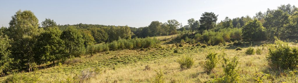 Przepiękna działka pod zabudowę jednorodzinną