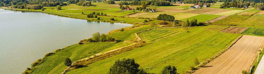 Działka rekreacyjna - radgoszcz, pow. 1035 m2