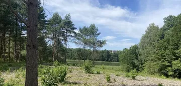 Działka na sprzedaż 245m2