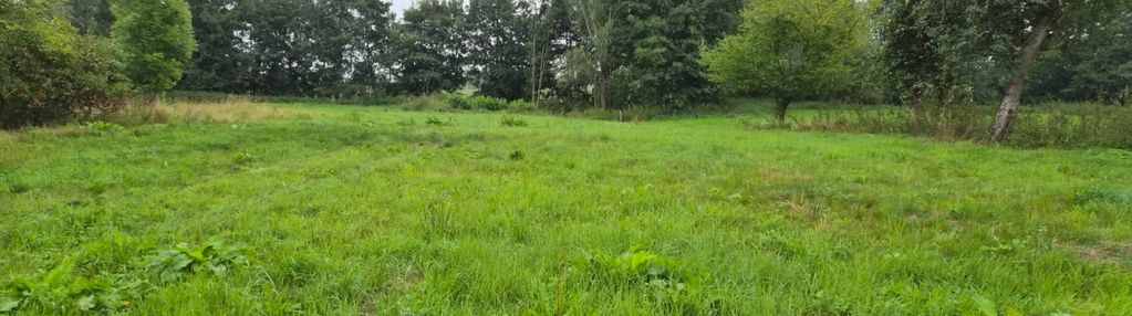 Działki z perspektywą na pełnych uroku terenach