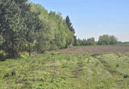 Działka przy lesie klimonty