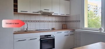 3 pokojowe / blisko centrum / lokalizacja