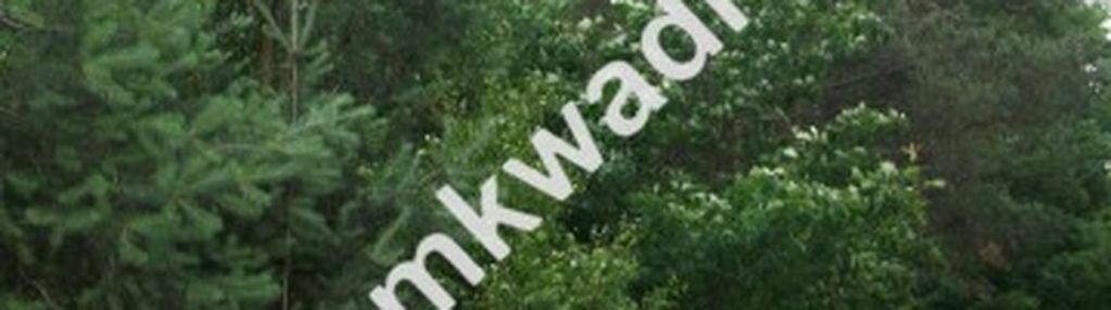 Urokliwa działka siedliskowa 27.500m2