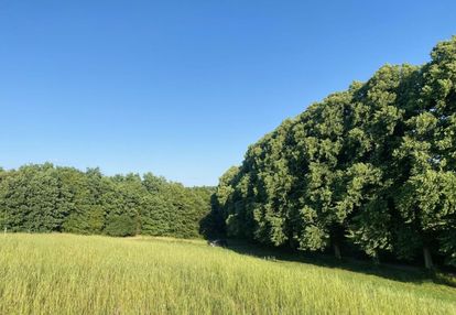 Łapino działka przy lesie nad radunią