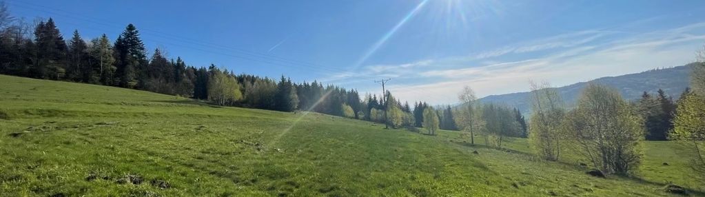 2 ha widokowej dzialki z mozliwoscia zabudowy!