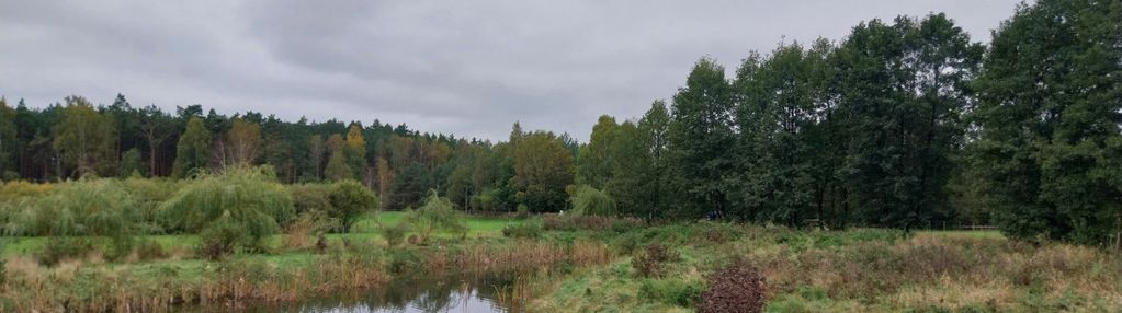 Działka ze stawami otoczona lasem