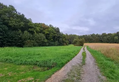 Działka na sprzedaż 4400m2