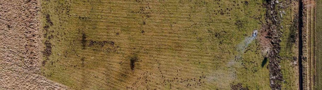 Działka inwestycyjna w bardzo dobrej cenie