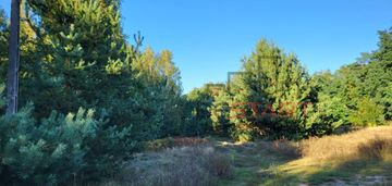 Działka we wsi borszyce gm. kowiesy!