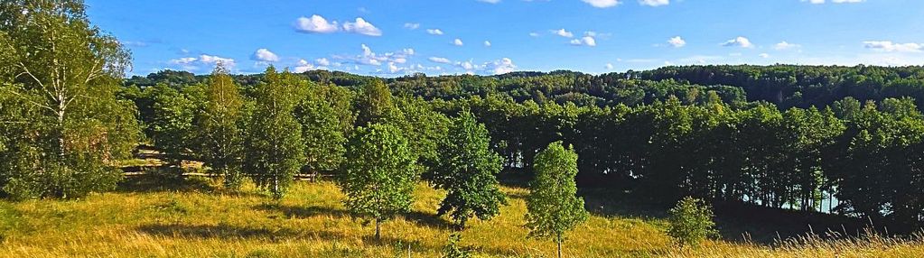 Działka budowlana pod usługi turystyczne - mazury