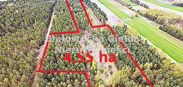 Działka 4,55ha//warunki zabudowy//las