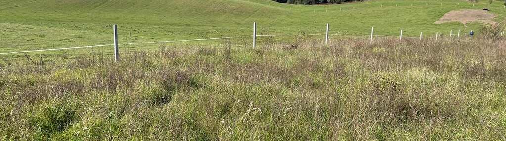 Działka na mazurach - 3 chwile do jeziora