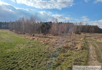 Działka pod lasem 1228 m2 dolice