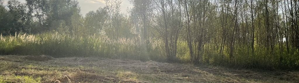 Działka budowlana 2136 m² – dąbrówka.