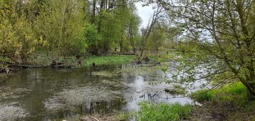 Działka strzyżew.