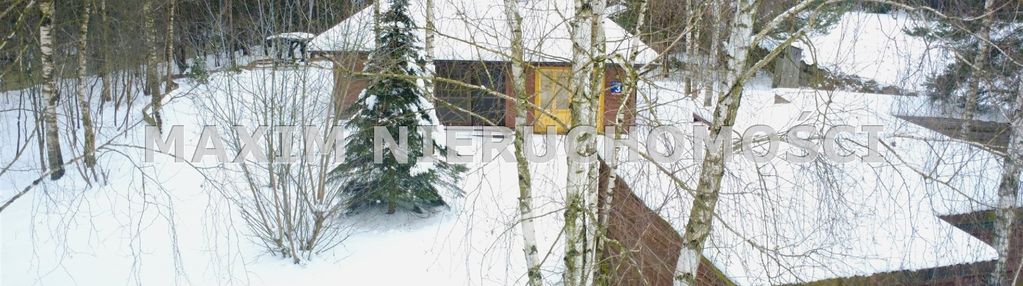 Duży dom z ogrodem w otoczeniu lasów