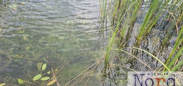Działka z linią brzegową jeziora gaładuś