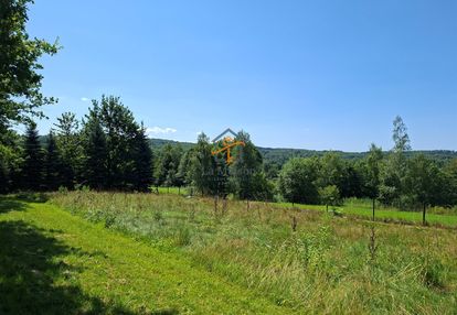 Klimatyczne siedlisko z lasem. gm. nowy wiśnicz.