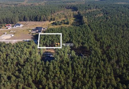 Zamieszkaj w otoczeniu lasu !