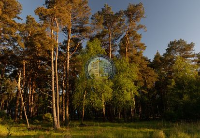 Działka, która łączy las i morze, czysta natura!