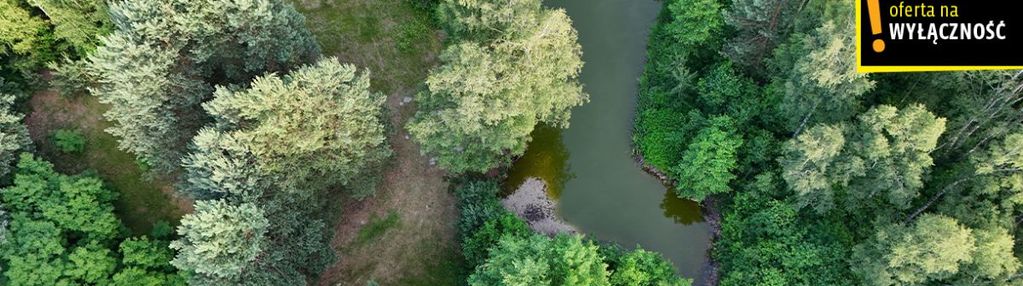 Działka ze stawem i lasem koło solca zdroju