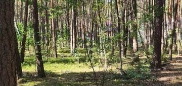 Działka budowlana 1500 m² w zielonym radzyminie.