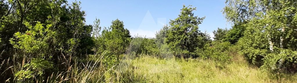 Działka blisko natury w bydgoszczy.