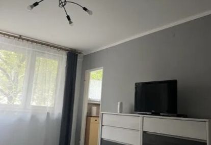 Kawalerka w śródmieściu