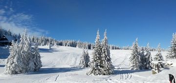 Luksusowy dom w górach do sprzedania