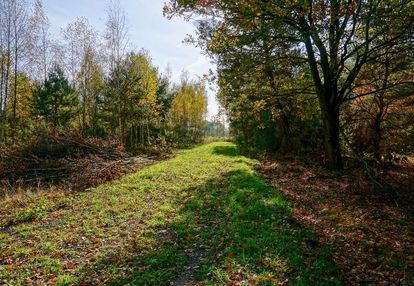 Działka budowlana 1300m2, puszcza mariańska