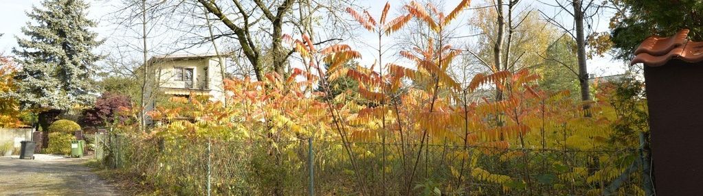 Borówiec - działka budowlana