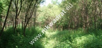 Działka blisko 2 ha do podziału