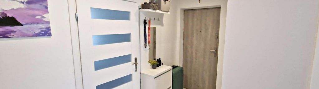 3 pokoje/niskie piętro/oferta bez prowizji