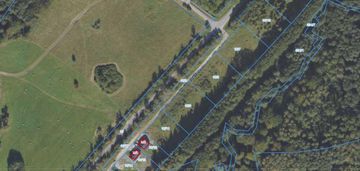 Działka 3005 m² | zieleń | spokojna lokalizacja