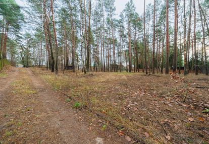 Działka rekreacyjna/w lesie/pod inwestycję