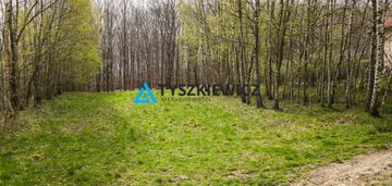 Malownicza okolica 300m od jeziora liniewskiego