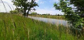 Działka z linią brzegową rzeki.