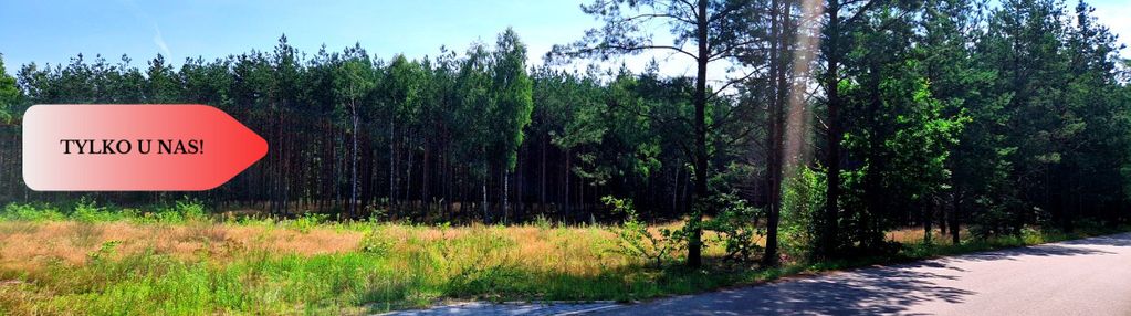 Zamieszkaj nad rzeką – wyjątkowe działki budowlane