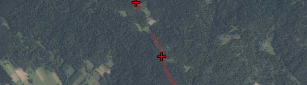 Działki leśne podwilk