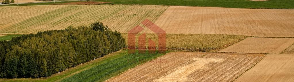 Działki siedliskowe,2 km sędziszów młp, full media