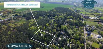 Najpiękniejsza w żabiczkach