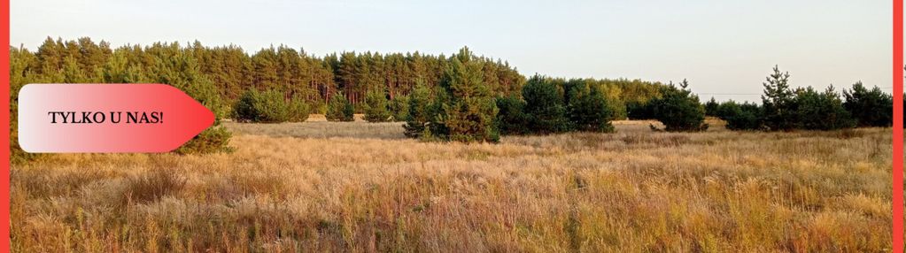 Tylko u nas !! działka na osiedlu pod lasem !!