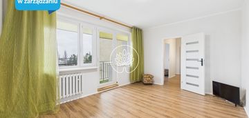 Dwupokojowe mieszkanie na wynajem