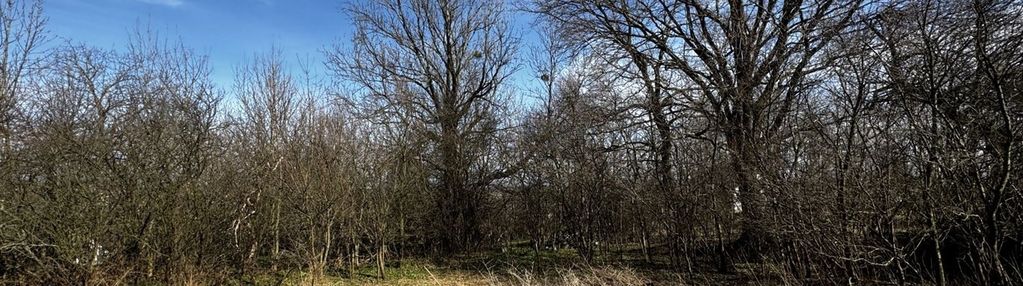 Zamieszkaj w łazach, tam czeka na ciebie działka!