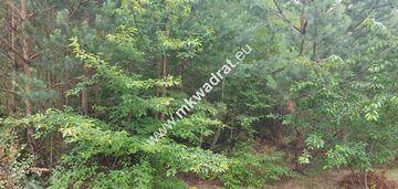 Działka 2000m 2 musuły okazja !!