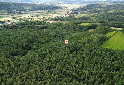 Na sprzedaż wyjątkowy kompleks leśny 15,43 h (las)